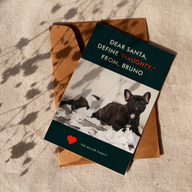 Tarjeta Festiva Definir traviesa | Foto de perro graciosa y linda (Subido por el creador)