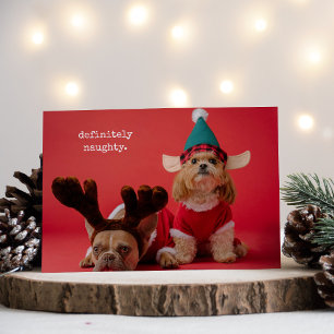 Tarjeta Festiva Definitivamente Navidades de la mala foto Mascota
