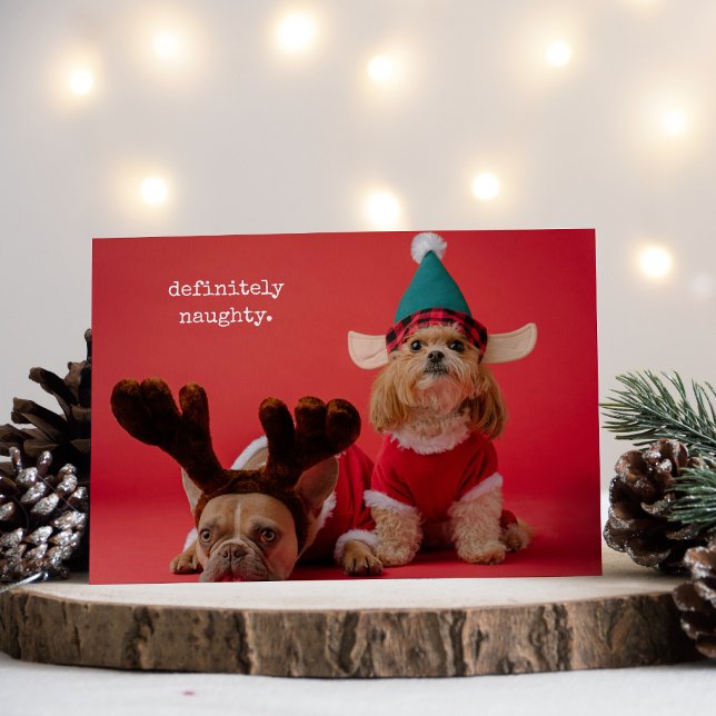 Tarjeta Festiva Definitivamente Navidades de la mala foto Mascota (Subido por el creador)