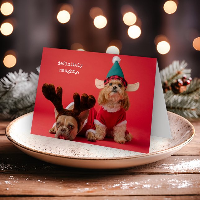 Tarjeta Festiva Definitivamente Navidades de la mala foto Mascota (Subido por el creador)