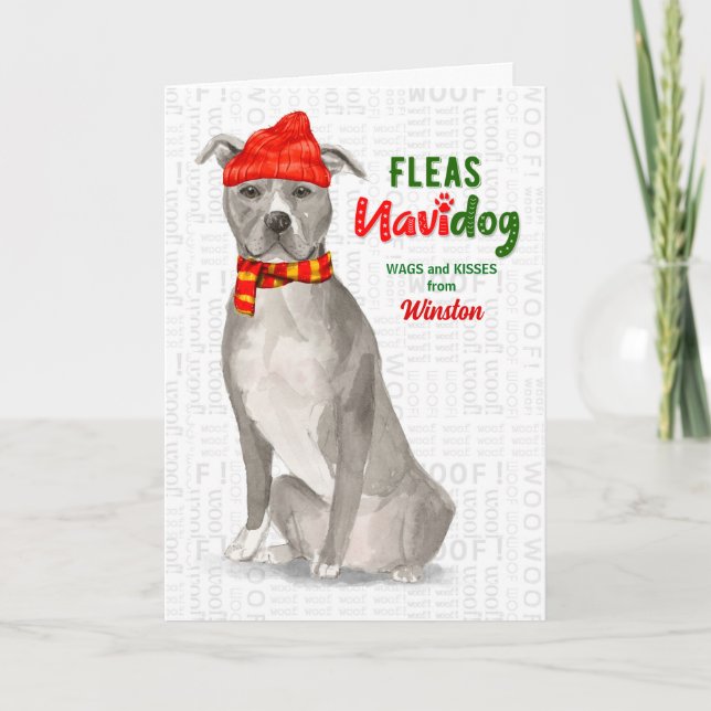Tarjeta Festiva Del Dog Gray American Staffordshire Pitbull (Anverso)