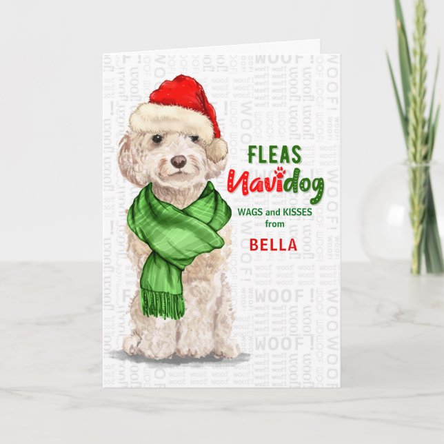 Tarjeta Festiva del perro Champagne Cockapoo Fleas Navidog Hol (Anverso)
