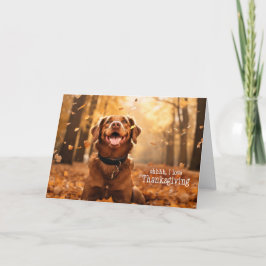 Tarjeta Festiva del perro de Acción de Gracias en hojas de otoño