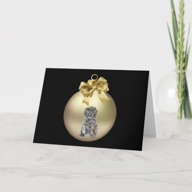 Tarjeta Festiva DES Flandes de Bouvier (Anverso)