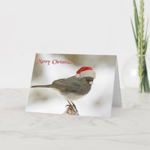 Tarjeta Festiva Deseando feliz Navidades de vacaciones Ave Santa H