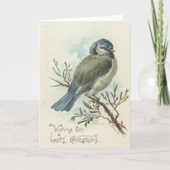 Tarjeta Festiva Deseándole Felices Navidad, pájaro del azul del (Anverso)