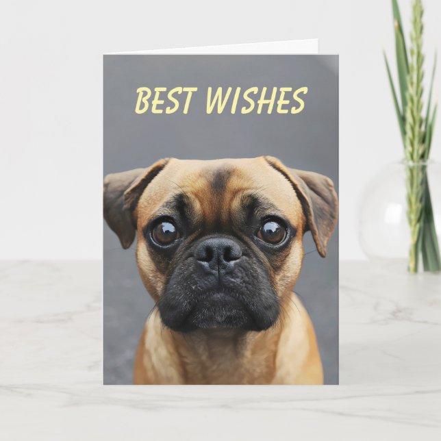 Tarjeta Festiva Deseos de animales de perro de pug (Anverso)