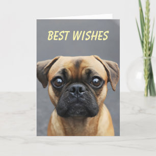 Tarjeta Festiva Deseos de animales de perro de pug