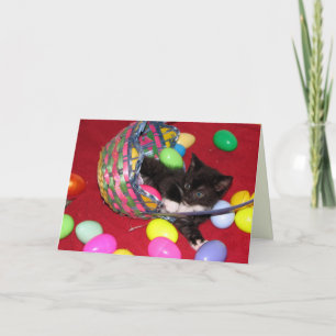 Tarjeta Festiva Deseos de Pascua de Versace - Gato / Gatito