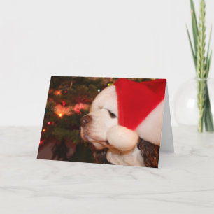 Tarjeta Festiva Deseos de vacaciones