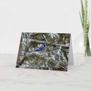 Tarjeta Festiva Deseos del arrendajo azul