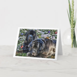 Tarjeta Festiva Deseos del día de fiesta de Newfie