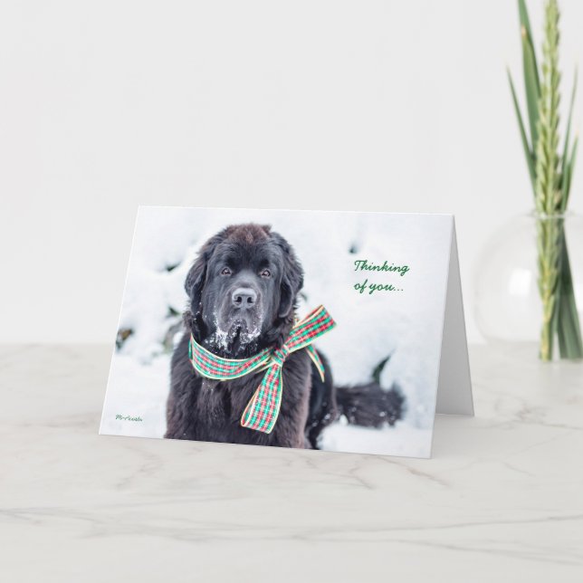Tarjeta Festiva Deseos del día de fiesta de Newfie para usted (Anverso)