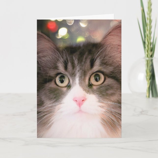 Tarjeta Festiva Deseos espumosos para Navidades (tarjeta de Navida (Anverso)