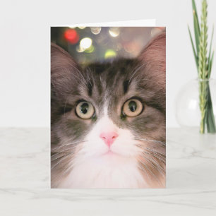 Tarjeta Festiva Deseos espumosos para Navidades (tarjeta de Navida