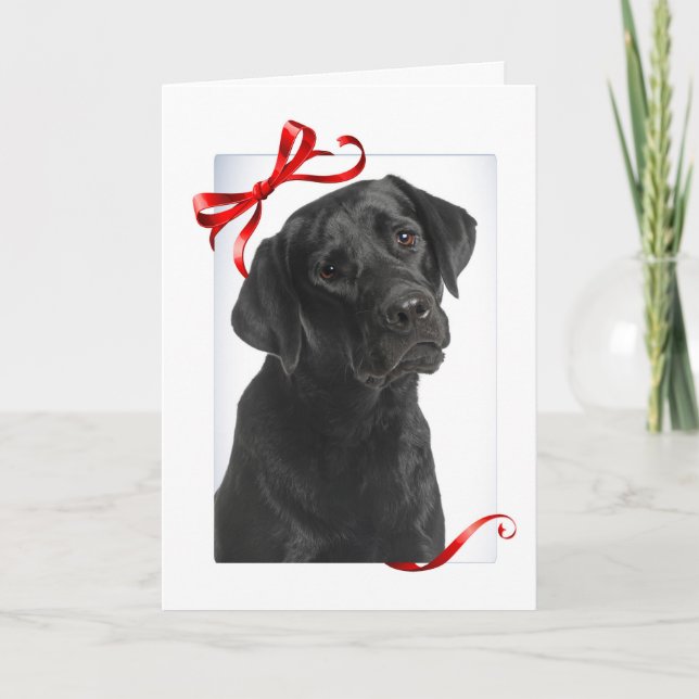 Tarjeta Festiva Deseos Navideños Cálidos y Confusos de Black Lab (Anverso)