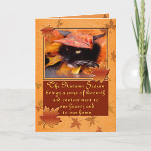 Tarjeta Festiva Día de Acción de Gracias del Gato Negro de la Temp