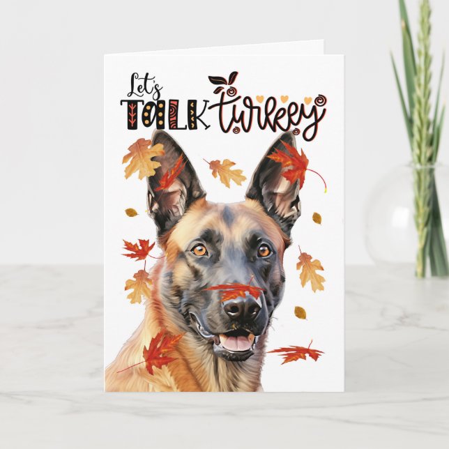 Tarjeta Festiva Día de Acción de Gracias Perro belga Malinois habl (Anverso)