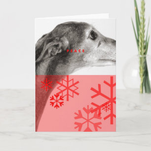 Tarjeta Festiva Día de fiesta Card_10