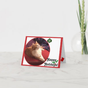 Tarjeta Festiva ¡Día de fiesta del gato del gatito de la perla!