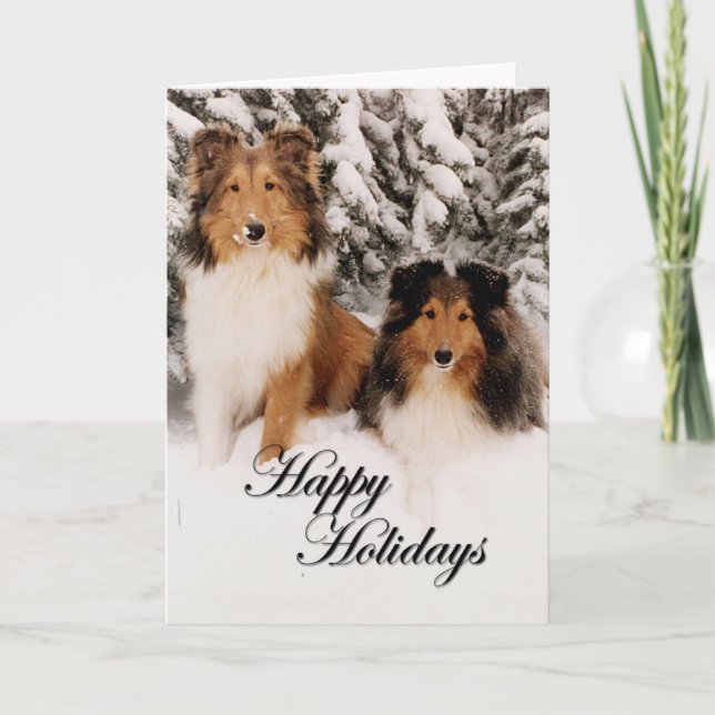 Tarjeta Festiva Día de fiesta Shelties (Anverso)