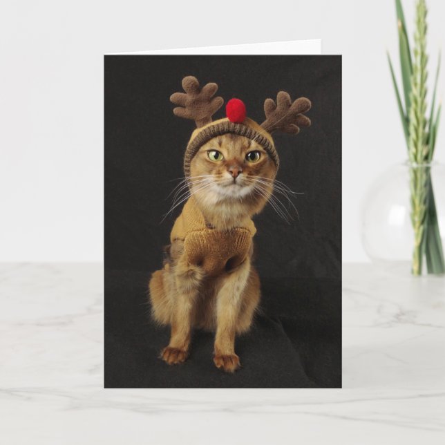 Tarjeta Festiva Día de fiesta somalí del gato de los juegos del (Anverso)