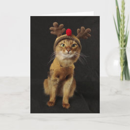 Tarjeta Festiva Día de fiesta somalí del gato de los juegos del