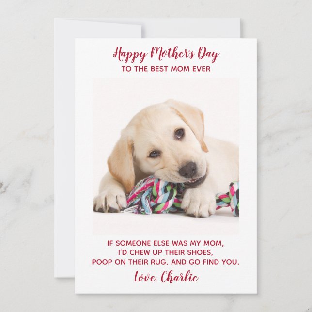 Tarjeta Festiva Día de la Madre de fotografía Mascota personalizad (Anverso)