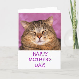 Tarjeta Festiva Día de la madre, foto de un gato personalizado