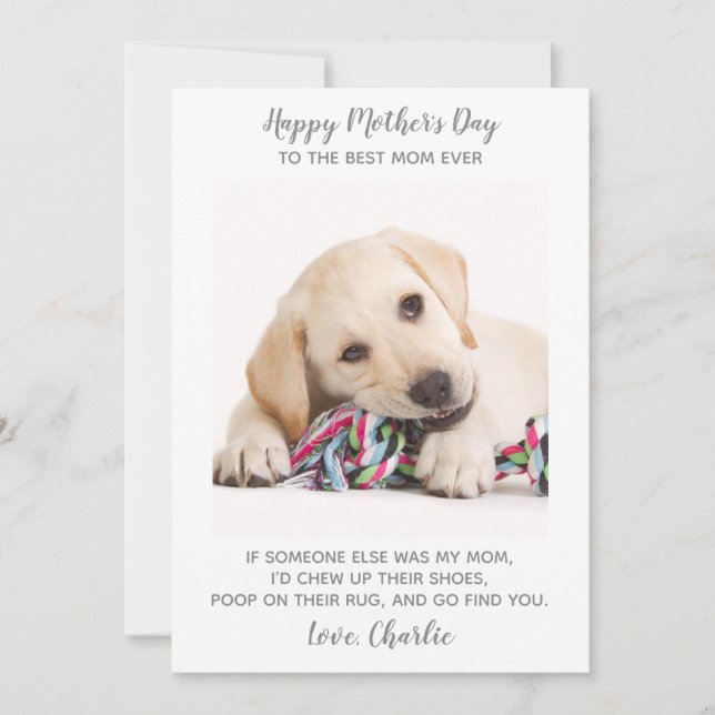Tarjeta Festiva Día de la Madre gracioso de foto Mascota personali (Anverso)