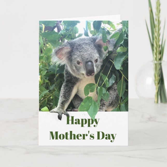 Tarjeta Festiva Día de la Madre Koala Eucalyptus Foto (Anverso)