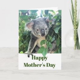 Tarjeta Festiva Día de la Madre Koala Eucalyptus Foto