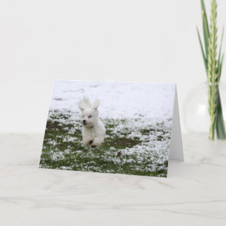 Tarjeta Festiva Día de la nieve del perrito