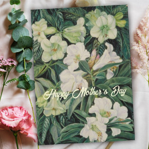 Tarjeta Festiva Día de las Madres Floral Blanco