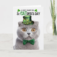 Día de San Patricio de Gray Scottish Fold Amuleto 