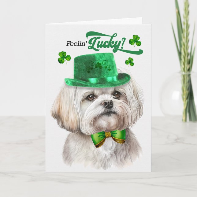 Tarjeta Festiva Día de San Patricio de los Perros de Malta (Anverso)