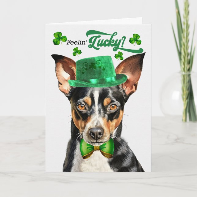 Tarjeta Festiva Día de San Patricio de Rat Terrier (Anverso)