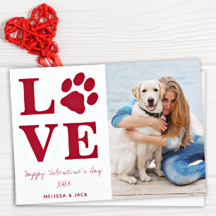 Tarjeta Festiva Día de San Valentín de amor Mascota Dog Photo