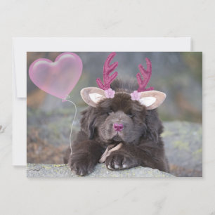 Tarjeta Festiva Día de San Valentín de cachorro de ciervo