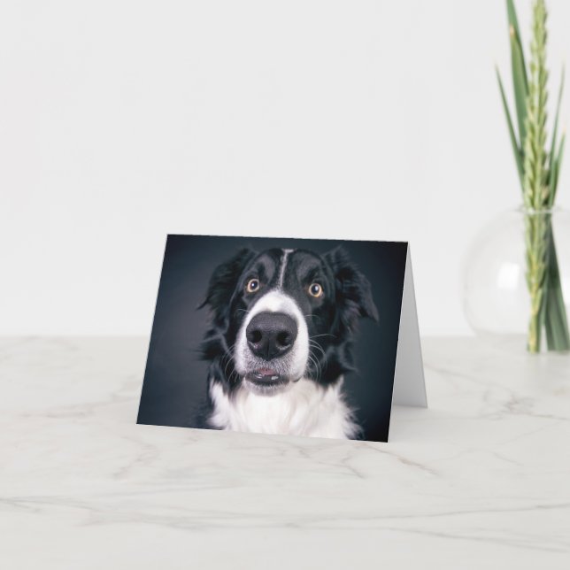 Tarjeta Festiva Día de San Valentín De Foto Perro De Dog (Anverso)