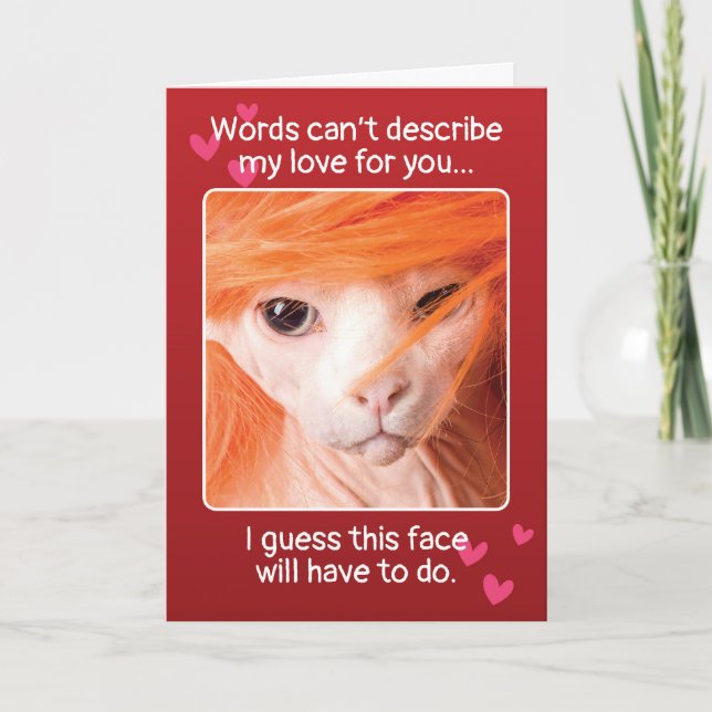 Tarjeta Festiva Día de San Valentín divertida Sexy Cat (Anverso)