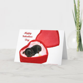 Tarjeta Festiva Día de San Valentín Doxie