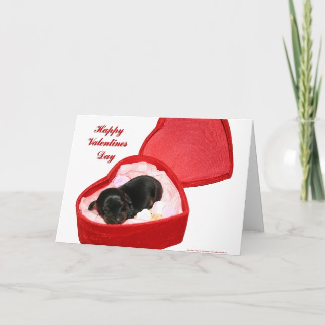 Tarjeta Festiva Día de San Valentín Doxie (Anverso)
