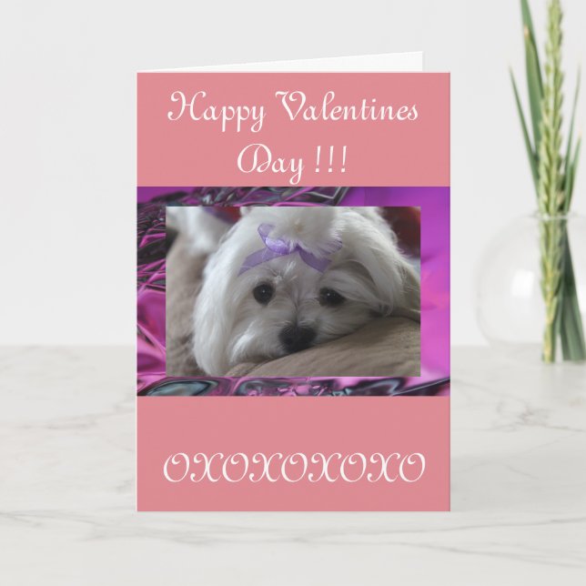 Tarjeta Festiva Día de San Valentín feliz (Anverso)
