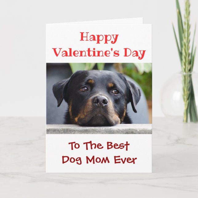 Tarjeta Festiva Día de San Valentín Mejor Madre Perro Mascota Foto (Anverso)