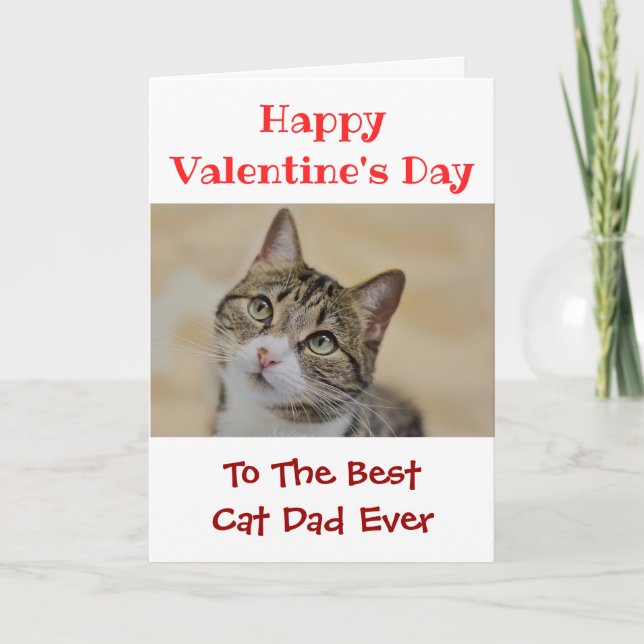 Tarjeta Festiva Día de San Valentín Mejor Papa Gato Mascota Foto (Anverso)