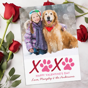 Tarjeta Festiva Día de San Valentín XOXO Foto de Mascota de perros