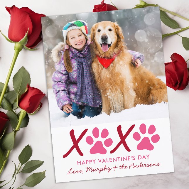 Tarjeta Festiva Día de San Valentín XOXO Foto de Mascota de perros (Subido por el creador)