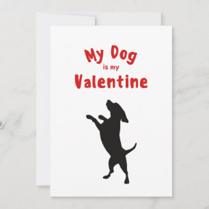 Tarjeta Festiva Día de San Valentín XOXO Foto de Perrito Cachorro 