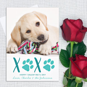 Tarjeta Festiva Día de San Valentín XOXO Foto De Perro De Cachorro